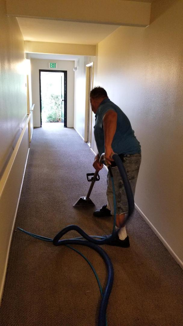 Carpet Cleaning Service – Clean Nationa L.A